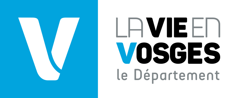 Vosges (88) : les auxiliaire de vie, les démarches et services pour les personnes âgées